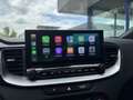 Kia ProCeed / pro_cee'd 1.5 T-GDi GT-PlusLine| Afneembare trekhaak, Panora Gris - thumbnail 19