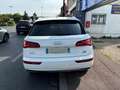 Audi Q5 AUDI Q5 2.0 TDI 190cv S-LINE QUATTRO S-TRONIC Blanc - thumbnail 10