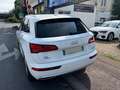 Audi Q5 AUDI Q5 2.0 TDI 190cv S-LINE QUATTRO S-TRONIC Blanc - thumbnail 3