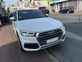 Audi Q5 AUDI Q5 2.0 TDI 190cv S-LINE QUATTRO S-TRONIC Blanc - thumbnail 8