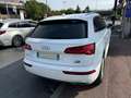 Audi Q5 AUDI Q5 2.0 TDI 190cv S-LINE QUATTRO S-TRONIC Blanc - thumbnail 9