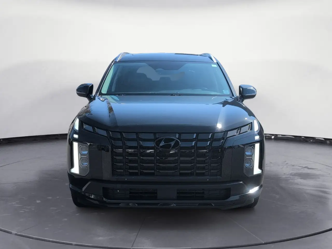 Hyundai PALISADE снимка Hyundai PALISADE