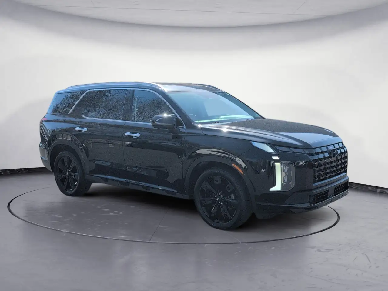Hyundai PALISADE снимка Hyundai PALISADE