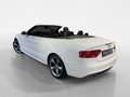 Audi A5 Cabriolet TDI 2.0 TDI 140kW quattro FACEL. Weiß - thumbnail 7