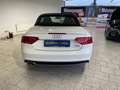 Audi A5 Cabriolet TDI 2.0 TDI 140kW quattro FACEL. Weiß - thumbnail 18