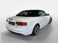Audi A5 Cabriolet TDI 2.0 TDI 140kW quattro FACEL. Weiß - thumbnail 4