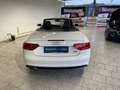 Audi A5 Cabriolet TDI 2.0 TDI 140kW quattro FACEL. Weiß - thumbnail 17