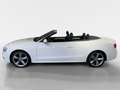 Audi A5 Cabriolet TDI 2.0 TDI 140kW quattro FACEL. Weiß - thumbnail 9