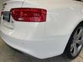 Audi A5 Cabriolet TDI 2.0 TDI 140kW quattro FACEL. Weiß - thumbnail 14