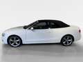 Audi A5 Cabriolet TDI 2.0 TDI 140kW quattro FACEL. Weiß - thumbnail 10