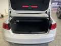 Audi A5 Cabriolet TDI 2.0 TDI 140kW quattro FACEL. Weiß - thumbnail 20
