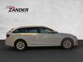 Skoda Octavia Combi 1.5 TSI mHEV DSG Selection SHZ/LHZ Weiß - thumbnail 6