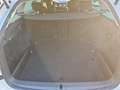 Skoda Octavia Combi 1.5 TSI mHEV DSG Selection SHZ/LHZ Weiß - thumbnail 11