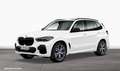 BMW X5 xDrive40d M Sportpaket Gestiksteuerung DAB Weiß - thumbnail 1