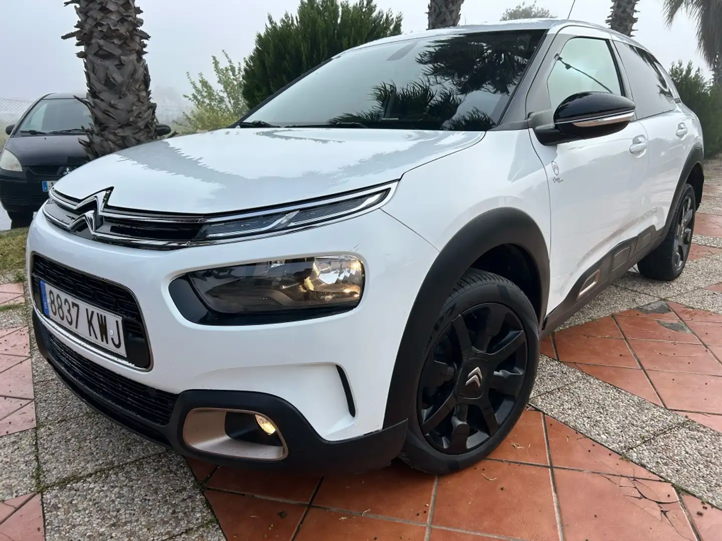 Citroen C4 Cactus 1.5BlueHDi S&S Origins 100 Blanco - 1