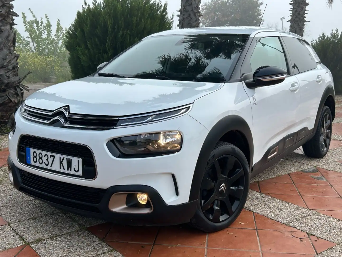 Citroen C4 Cactus 1.5BlueHDi S&S Origins 100 Blanco - 2