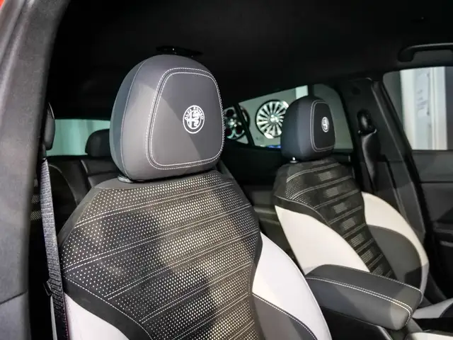 Alfa Romeo Tonale view 14