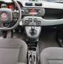 Fiat Panda Panda III 2016 1.0 hybrid City Cross s Grigio - thumbnail 12