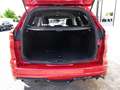 Ford Focus ST-Line 1.0 EB Navi+ParkAssist+Kamera Klima Navi Rood - thumbnail 9