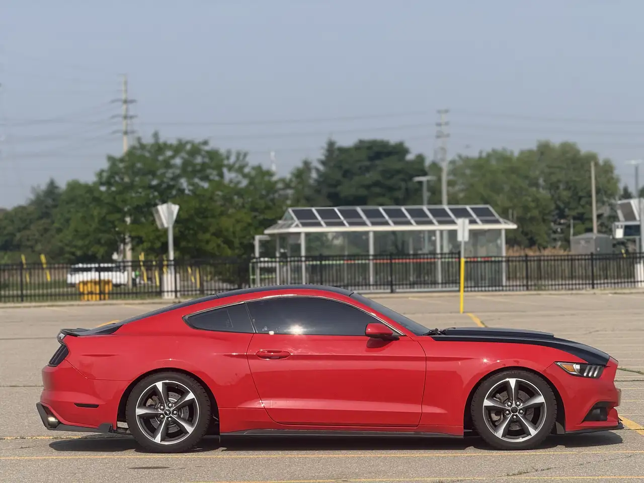 Ford Mustang photo Ford Mustang