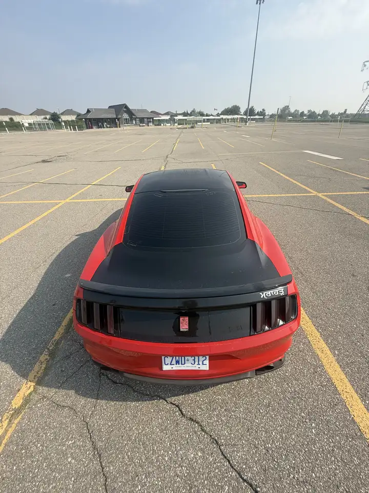 Ford Mustang photo Ford Mustang
