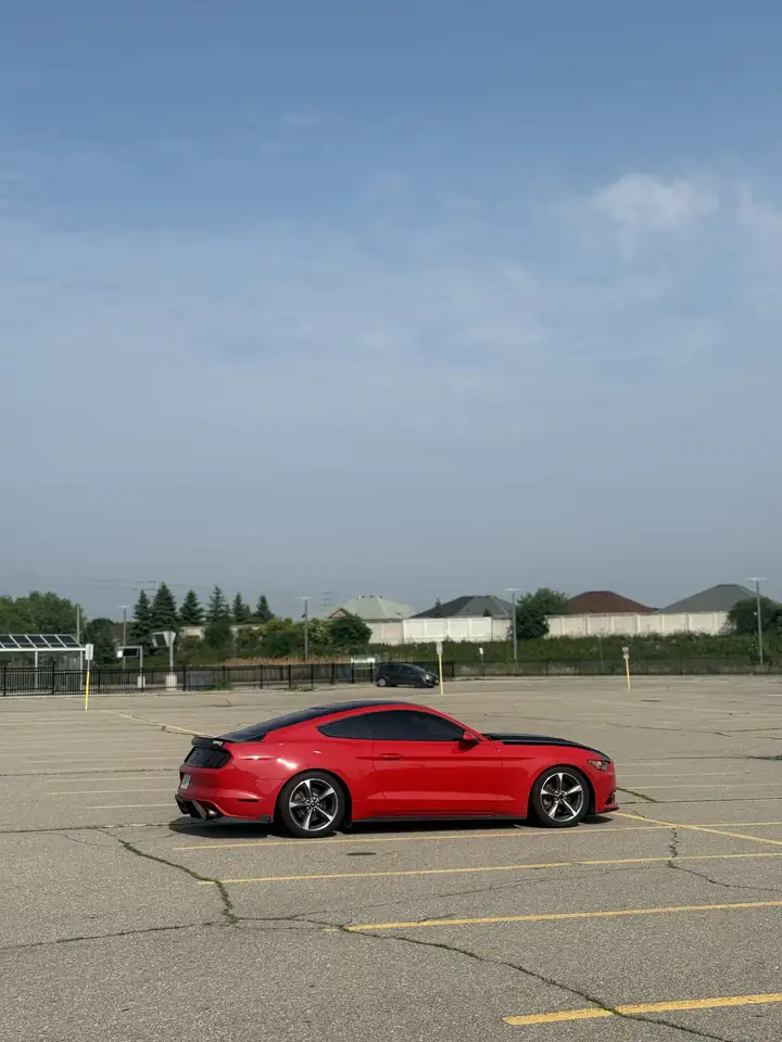 Ford Mustang photo Ford Mustang