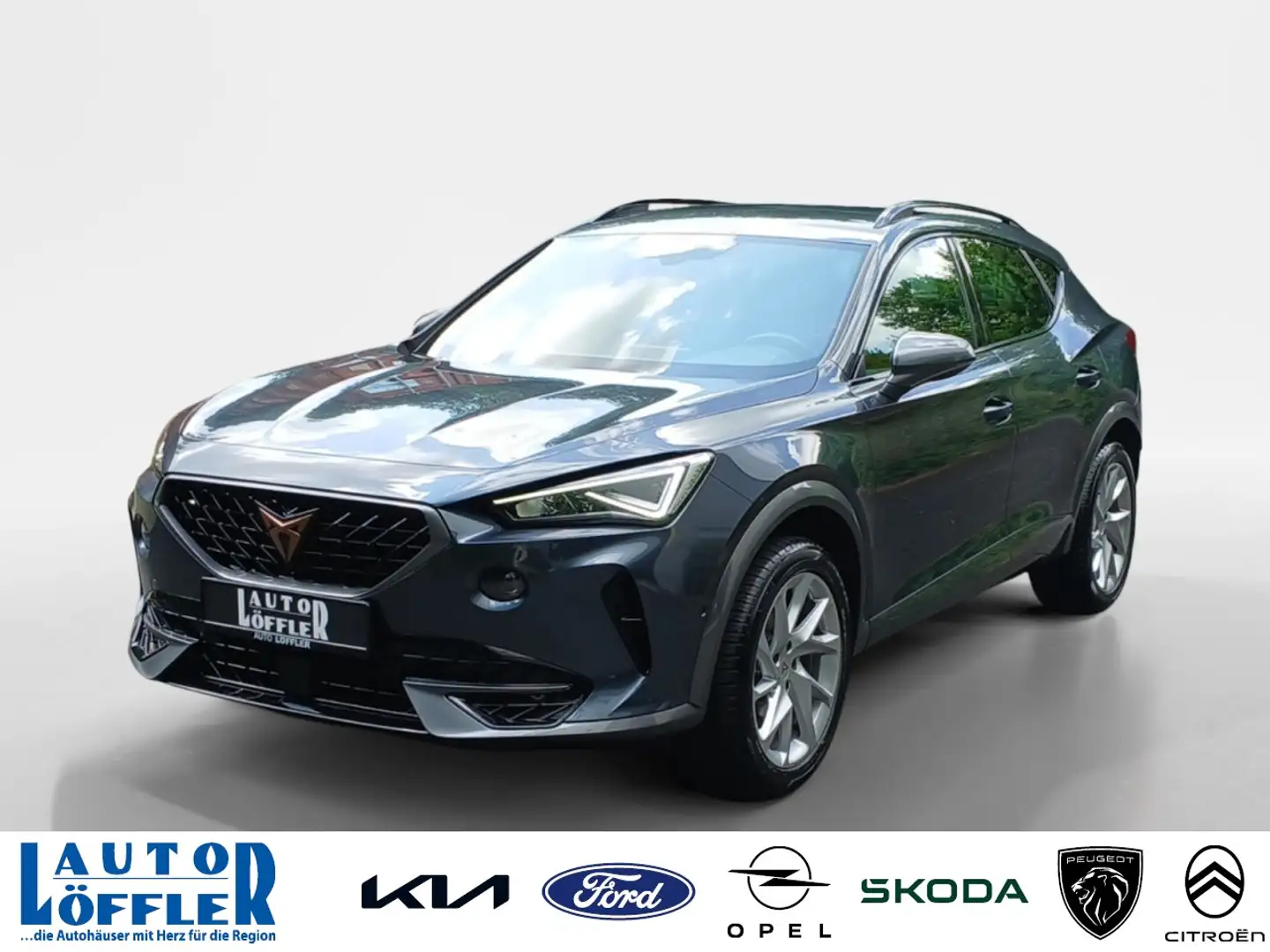 CUPRA Formentor Basis PDC^ RFK^ SHZ^ KLIMA^ SSA^ Klima Grau - 1