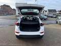 Hyundai TUCSON Sitzhz Alus Tempo Multifkt PDC Klimaauto Weiß - thumbnail 7