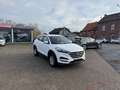 Hyundai TUCSON Sitzhz Alus Tempo Multifkt PDC Klimaauto Weiß - thumbnail 6