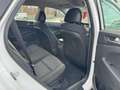 Hyundai TUCSON Sitzhz Alus Tempo Multifkt PDC Klimaauto Weiß - thumbnail 22