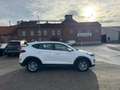 Hyundai TUCSON Sitzhz Alus Tempo Multifkt PDC Klimaauto Weiß - thumbnail 5