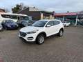 Hyundai TUCSON Sitzhz Alus Tempo Multifkt PDC Klimaauto Weiß - thumbnail 1