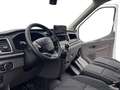 Ford Transit Trend 350 L2 Weiß - thumbnail 10