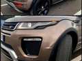 Land Rover Range Rover Evoque Range Rover Evoque 5p 2.0 td4 SE Dynamic 150cv Bronzo - thumbnail 5