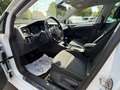 Volkswagen Golf VII Cup BMT 1,6TDI Navi/AHK/Business Weiß - thumbnail 12