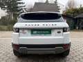 Land Rover Range Rover Evoque Pure 2,2 eD4 Weiß - thumbnail 7