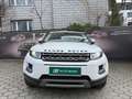 Land Rover Range Rover Evoque Pure 2,2 eD4 Weiß - thumbnail 2