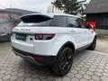Land Rover Range Rover Evoque Pure 2,2 eD4 Weiß - thumbnail 8