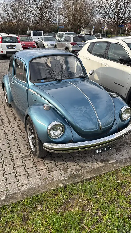 Volkswagen Maggiolino In Pelle, foto 1