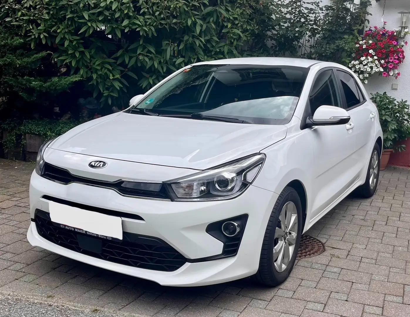 Kia Rio 1,25 MPI UVO Silber Weiß - 1
