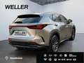 Lexus E-FOUR Executive Line *AHK*360°*el Heck* Argent - thumbnail 19
