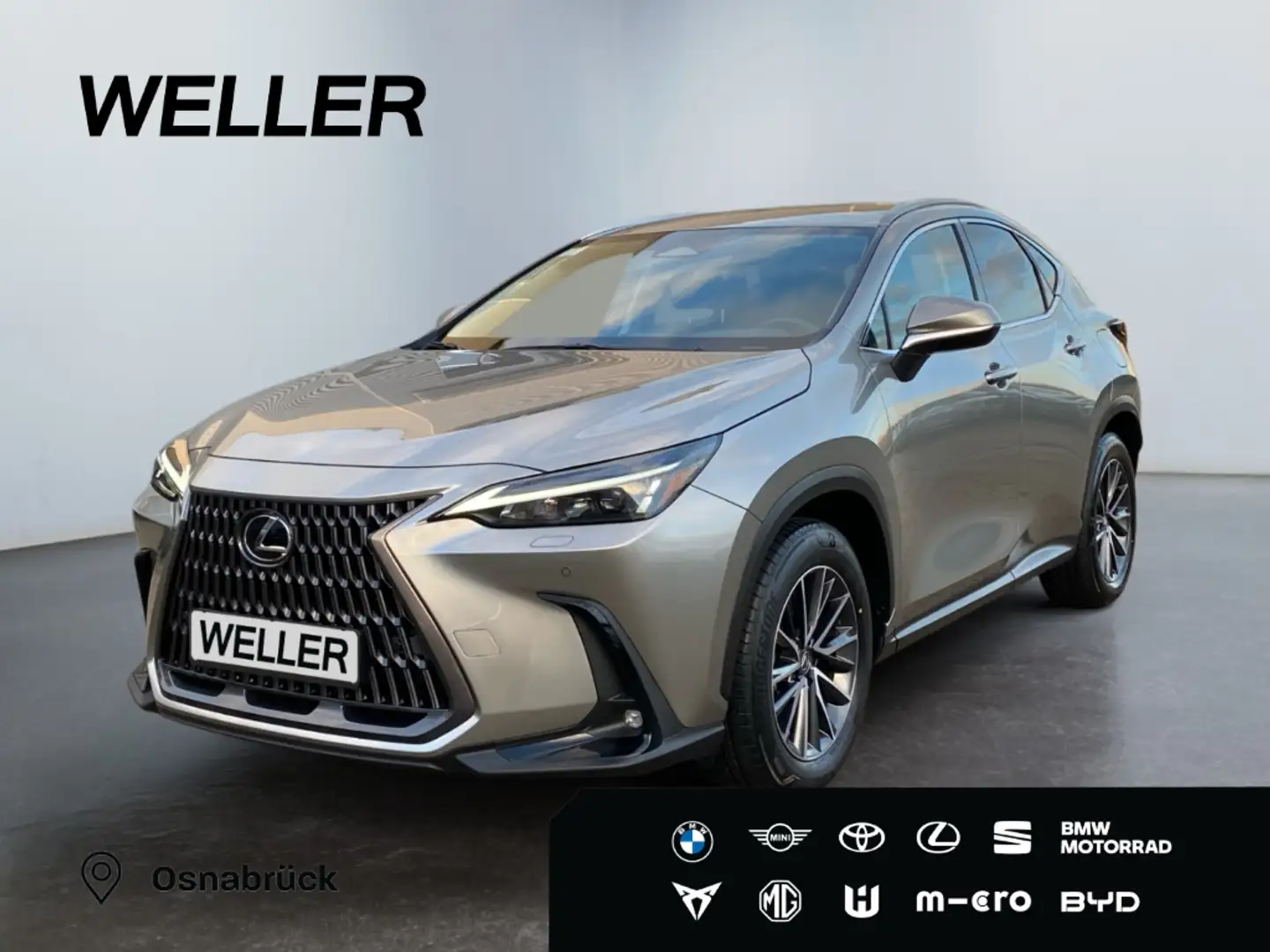 Lexus E-FOUR Executive Line *AHK*360°*el Heck* Argent - 1