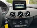 Mercedes-Benz B 200 CDI/7GANG DCT/STYLE/KAMERA/TEMP/AHK/PTS siva - thumbnail 12