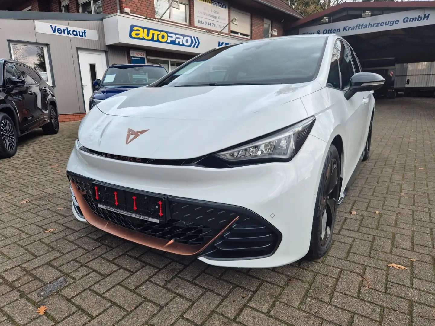 CUPRA Born 170 kW Wärmepumpe / Pilot-Paket XL Plus Alb - 2