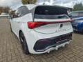CUPRA Born 170 kW Wärmepumpe / Pilot-Paket XL Plus Alb - thumbnail 4