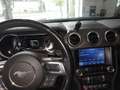 Ford Mustang GT Convertible Grau - thumbnail 4