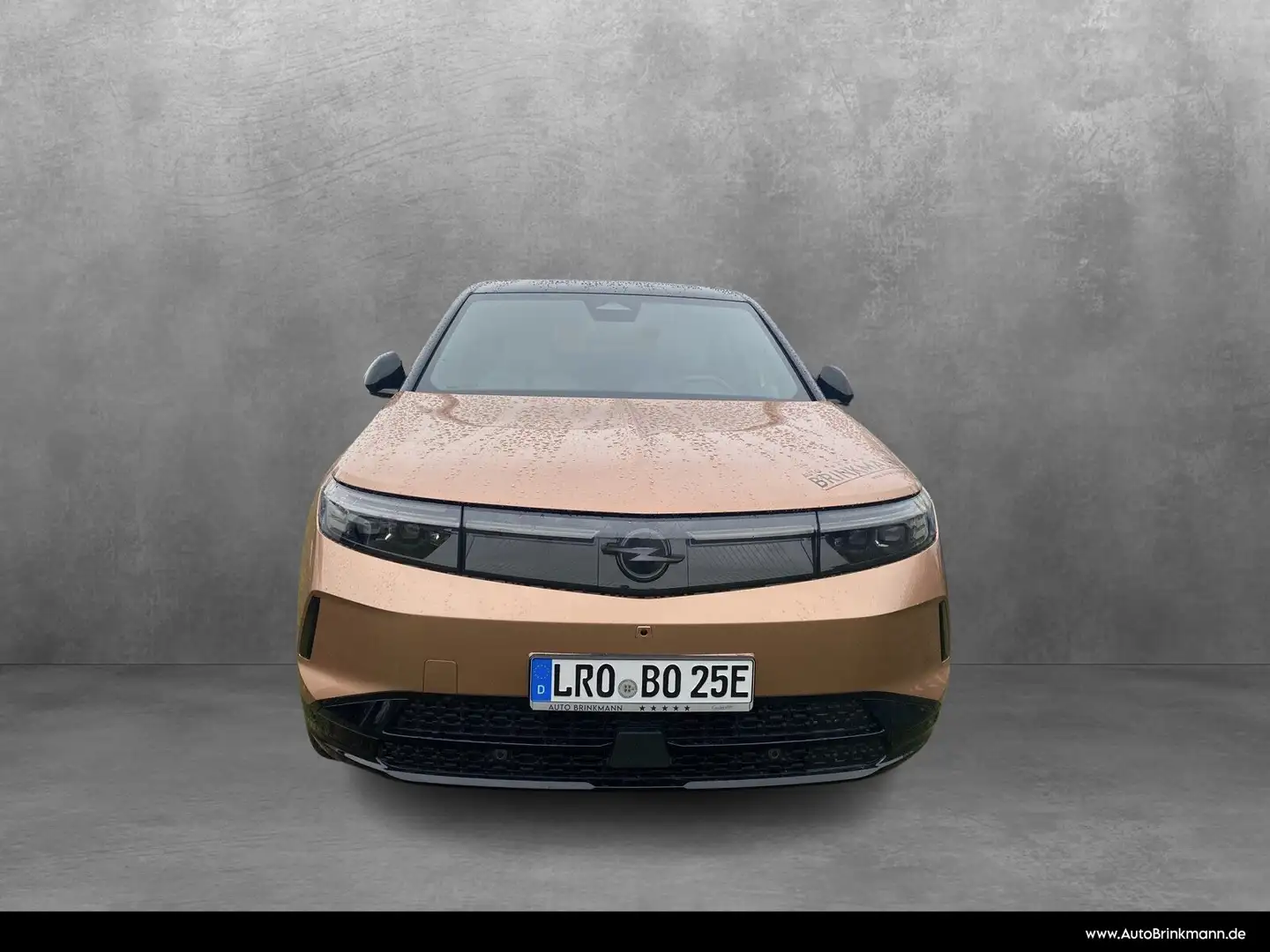 Opel Grandland Grandland Electric GS (73kWh) Panorama/SHZ/Klima - 2