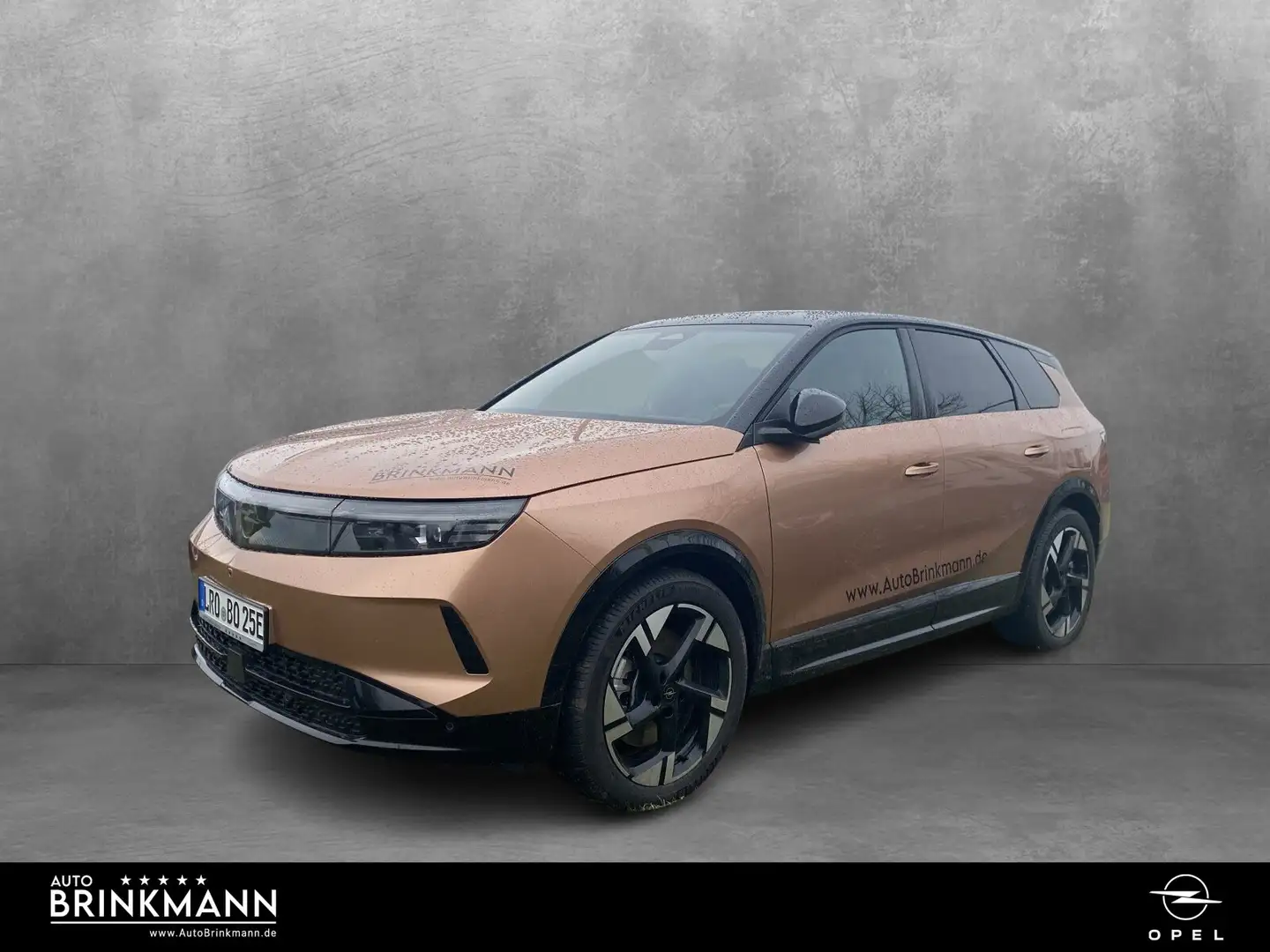 Opel Grandland Grandland Electric GS (73kWh) Panorama/SHZ/Klima - 1