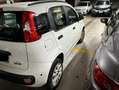 Fiat Panda Panda III 2012 0.9 t.air natural power Easy 80cv Bianco - thumbnail 3