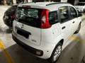 Fiat Panda Panda III 2012 0.9 t.air natural power Easy 80cv Bianco - thumbnail 4